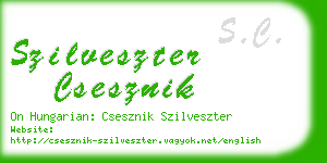 szilveszter csesznik business card